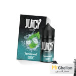 سالت نعنا یخ نستی Nasty Spearmint Salt