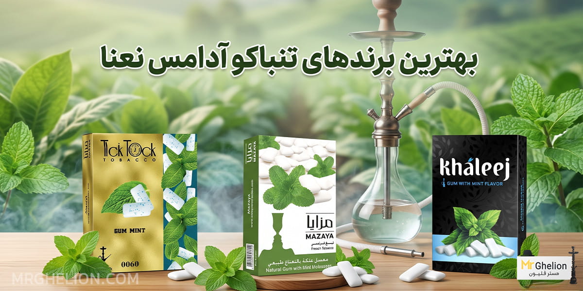 تنباکو آدامس نعنا