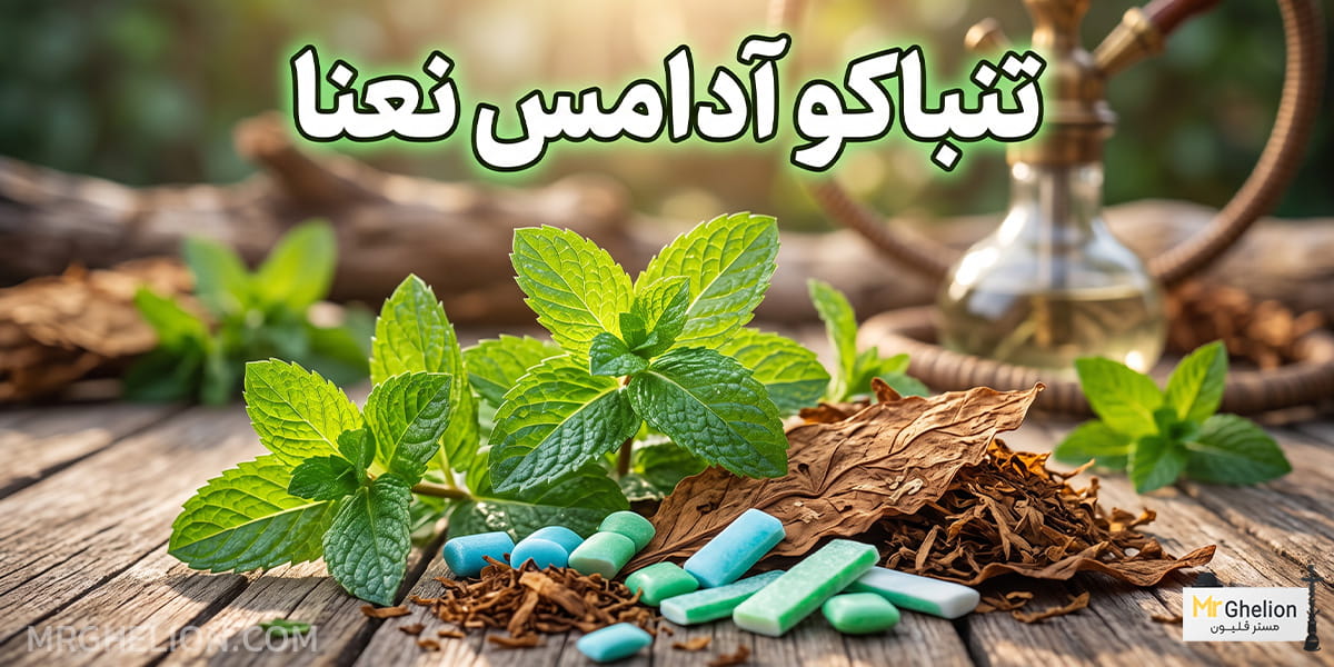 تنباکو آدامس نعنا