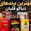 بهترین برندهای تنباکو قلیان در ایران